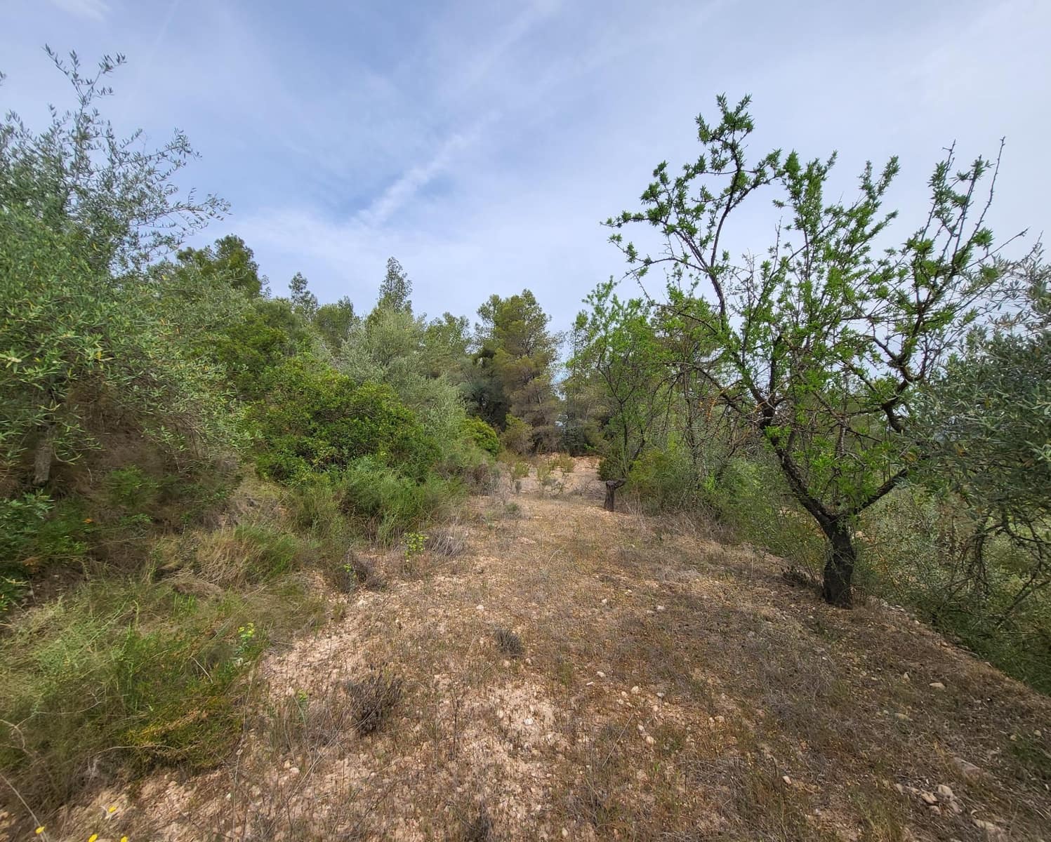 Finka/Dom wiejski na sprzedaż w Tivissa - 185 000 € (Ref: 9153873)