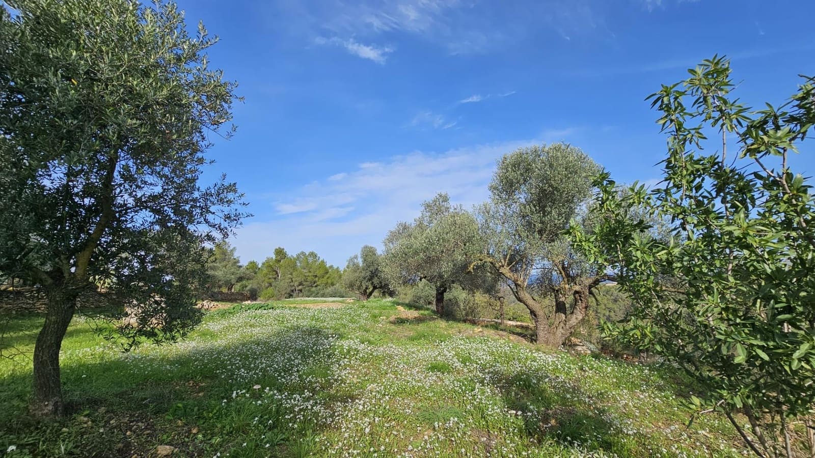 Finka/Dom wiejski na sprzedaż w Tivissa - 185 000 € (Ref: 9153873)