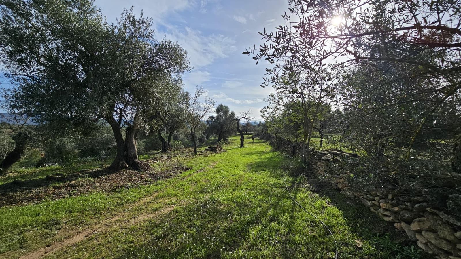 Finka/Dom wiejski na sprzedaż w Tivissa - 185 000 € (Ref: 9153873)