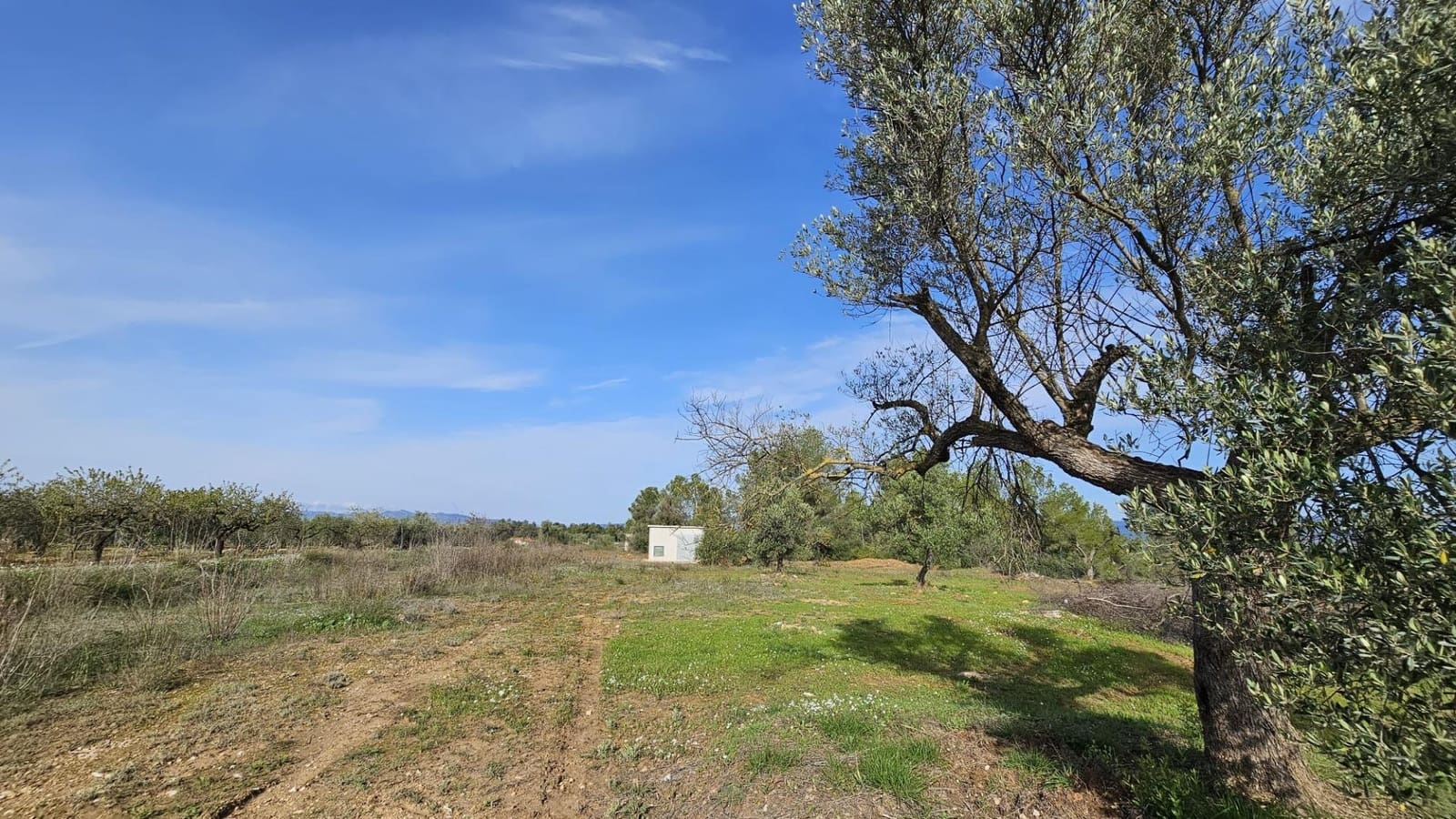 Finka/Dom wiejski na sprzedaż w Tivissa - 185 000 € (Ref: 9153873)