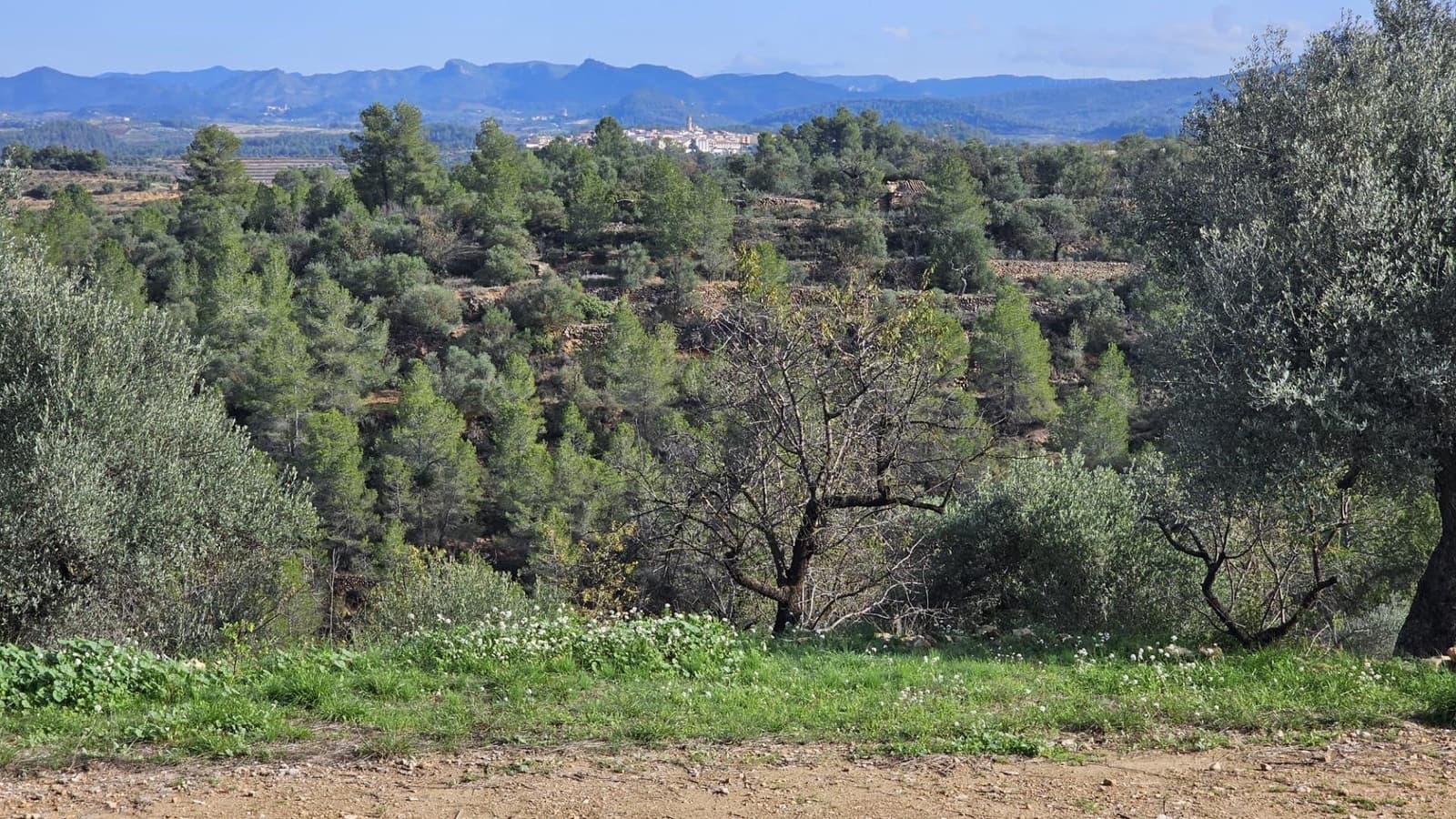 Finka/Dom wiejski na sprzedaż w Tivissa - 185 000 € (Ref: 9153873)