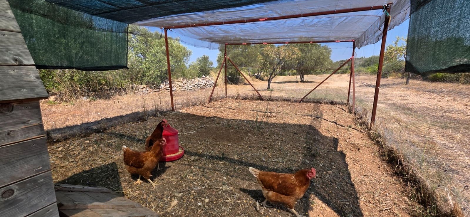 6 slaapkamer Finca/Landhuis te koop in Tivissa met zwembad - € 575.000 (Ref: 9215383)