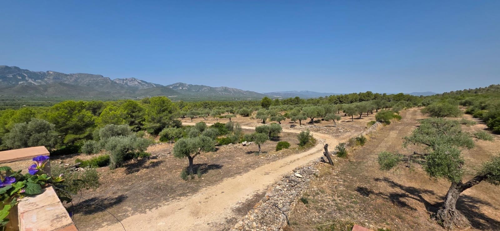 6 slaapkamer Finca/Landhuis te koop in Tivissa met zwembad - € 575.000 (Ref: 9215383)