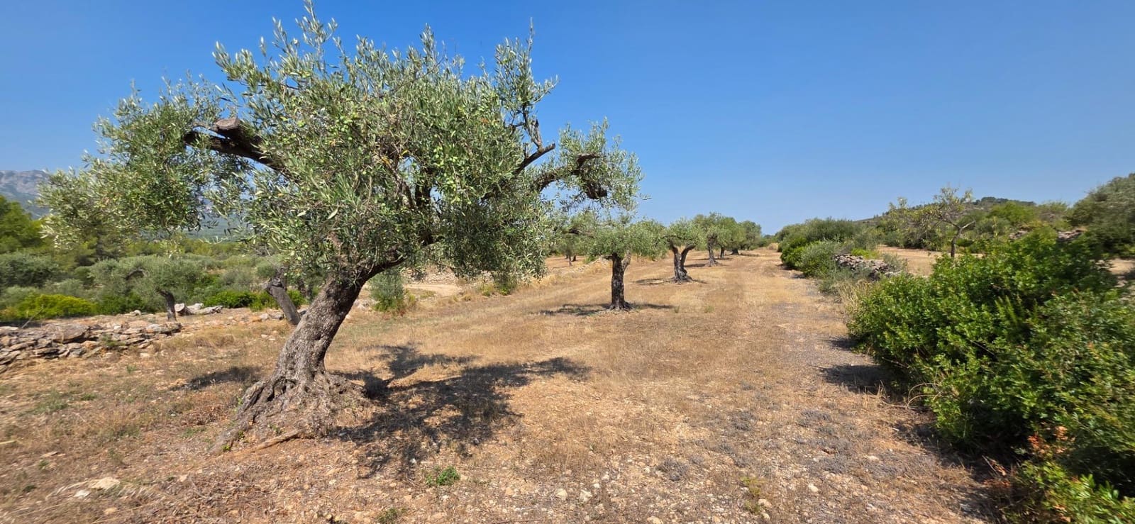 6 slaapkamer Finca/Landhuis te koop in Tivissa met zwembad - € 575.000 (Ref: 9215383)