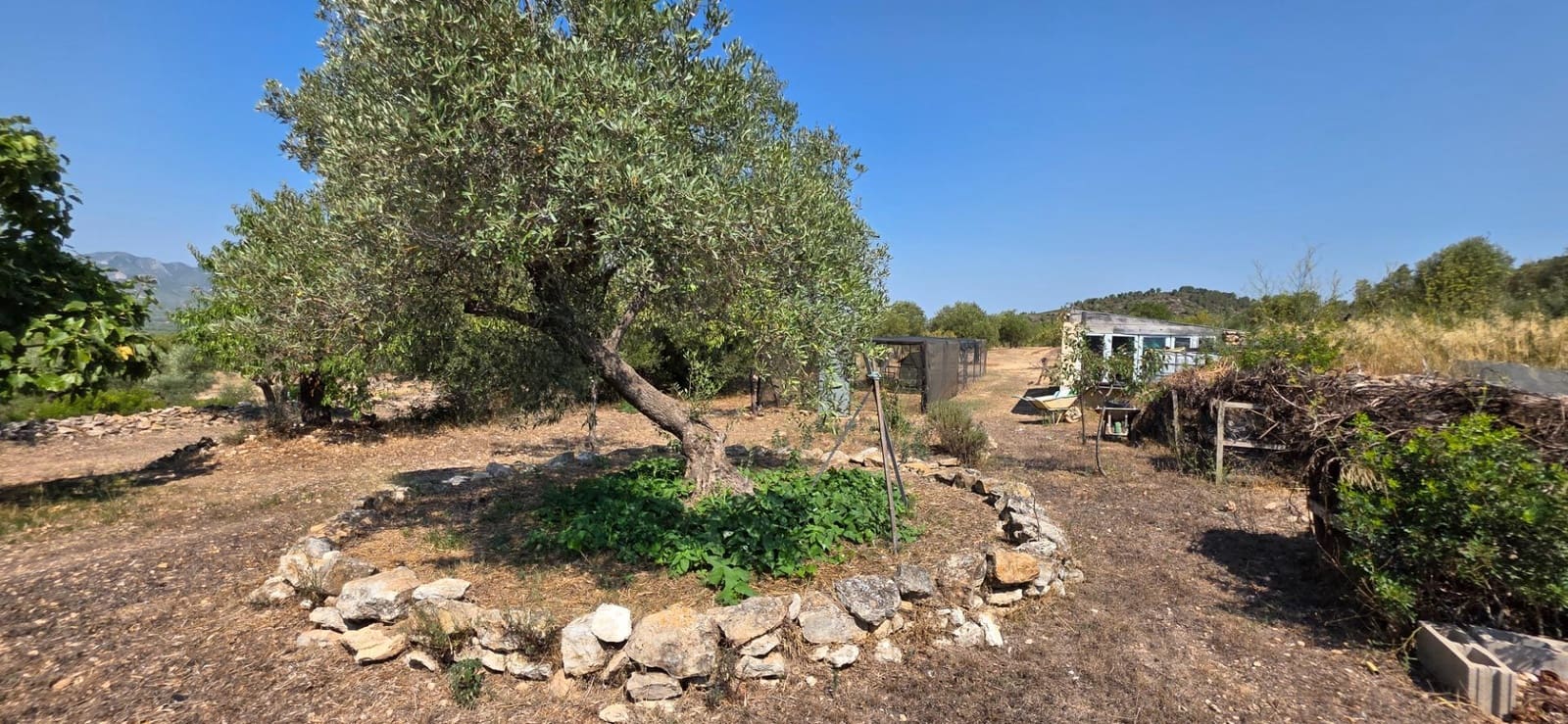 6 slaapkamer Finca/Landhuis te koop in Tivissa met zwembad - € 575.000 (Ref: 9215383)