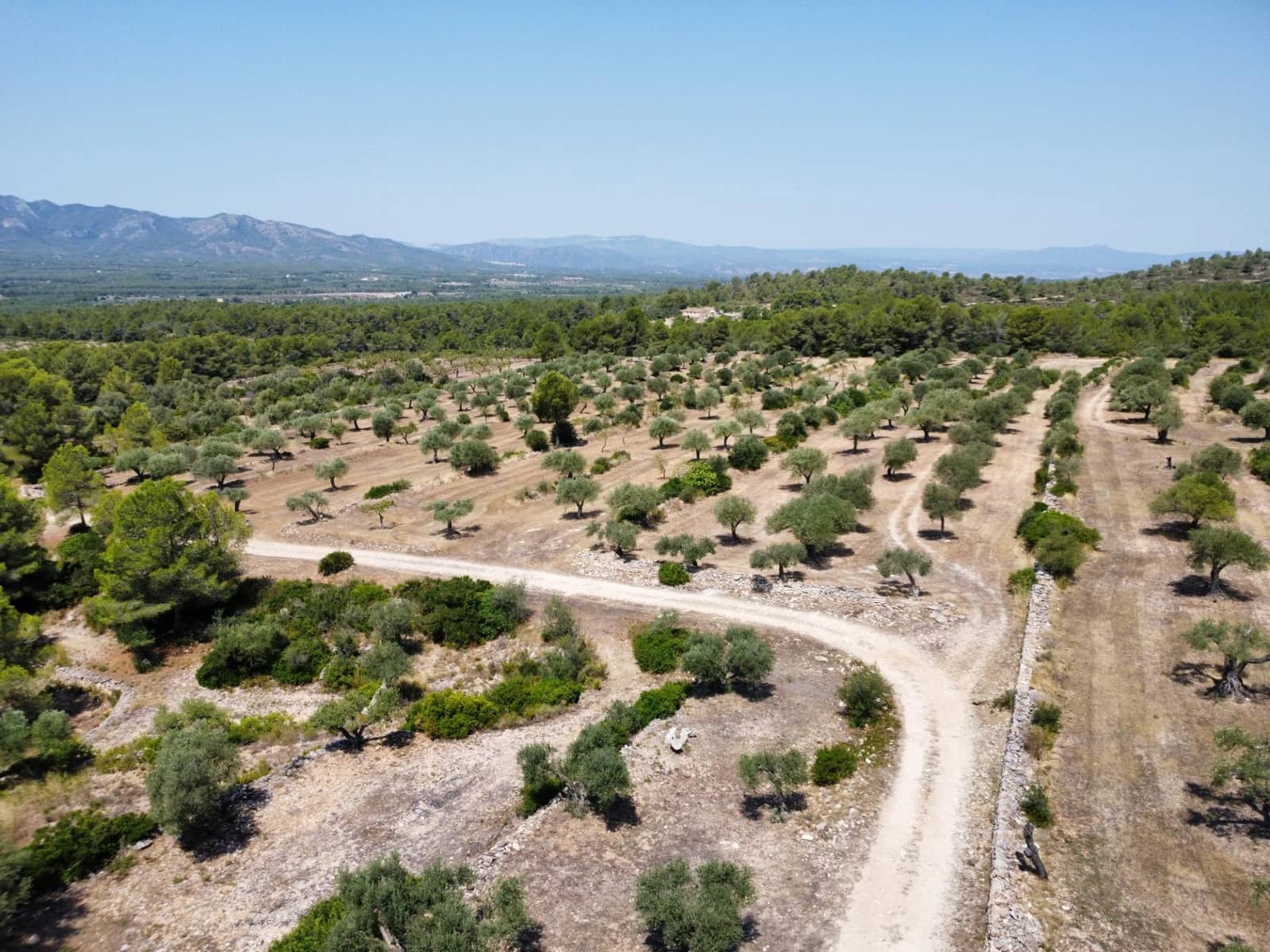 6 slaapkamer Finca/Landhuis te koop in Tivissa met zwembad - € 575.000 (Ref: 9215383)