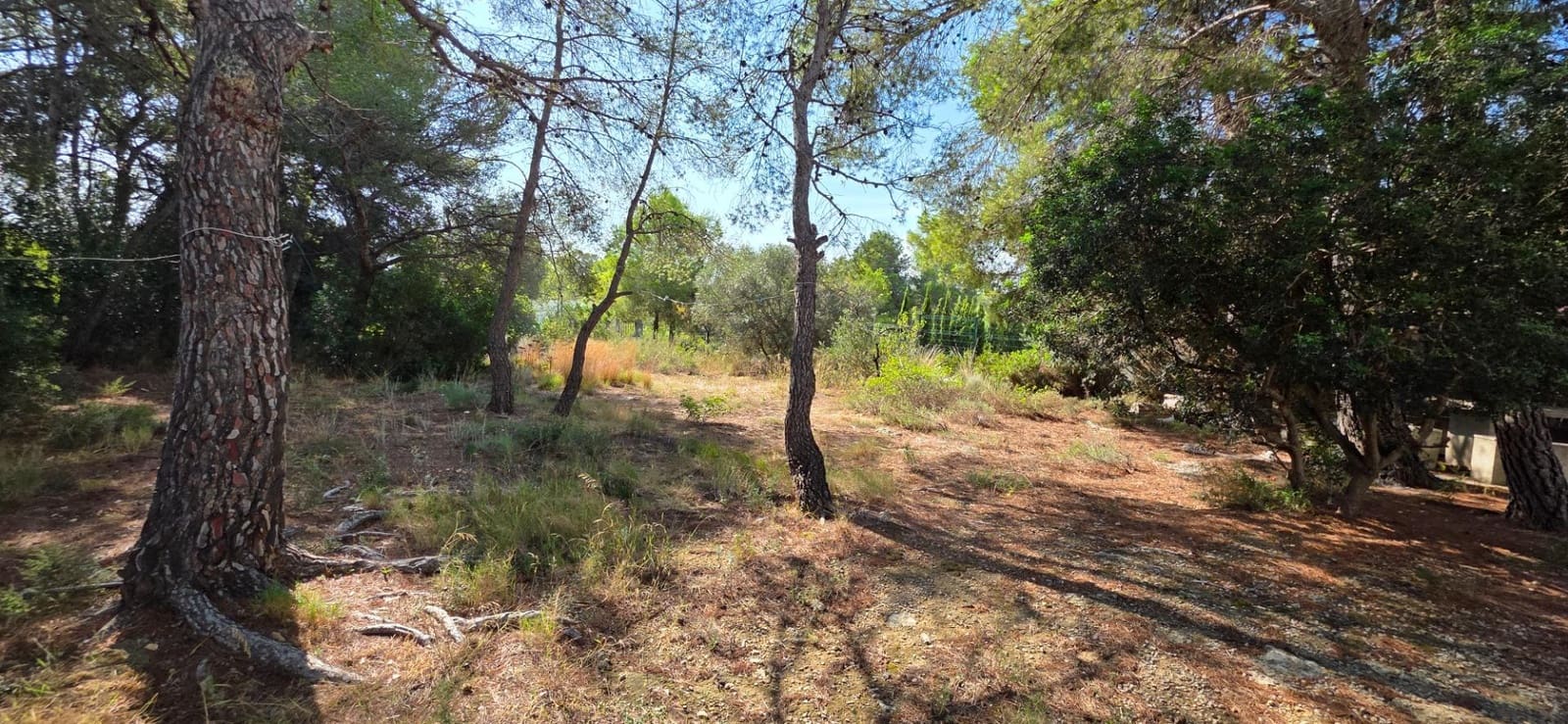 5 slaapkamer Villa te koop in L'Ametlla de Mar - € 220.000 (Ref: 9236864)