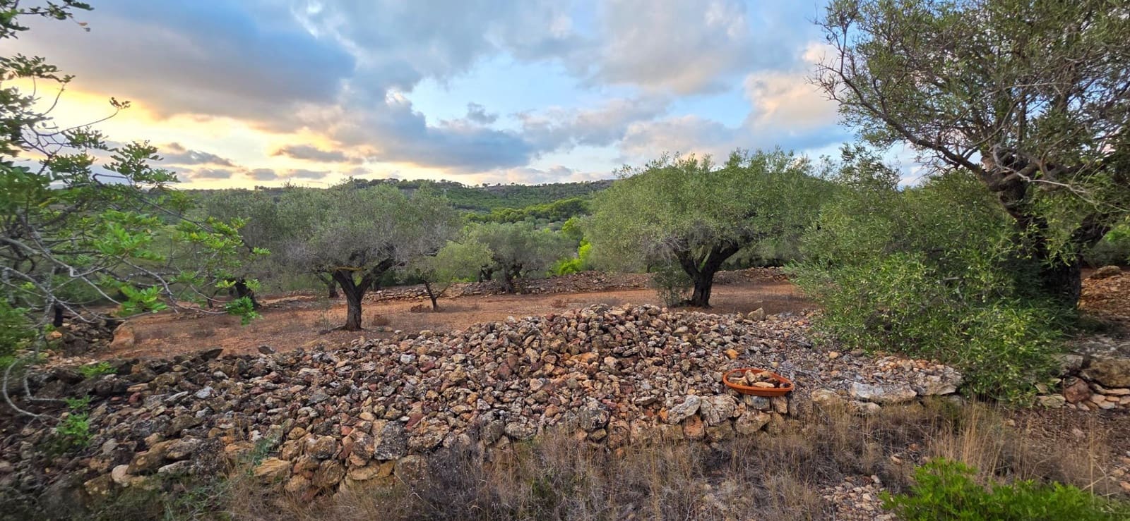 3 soveværelse Finca/Landehus til salg i L'Ametlla de Mar - € 129.000 (Ref: 9240369)