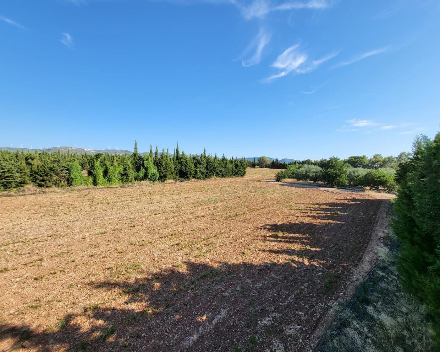 6 camera da letto Finca/Casa di Campagna in vendita in L'Ampolla - 700.000 € (Rif: 9382815)