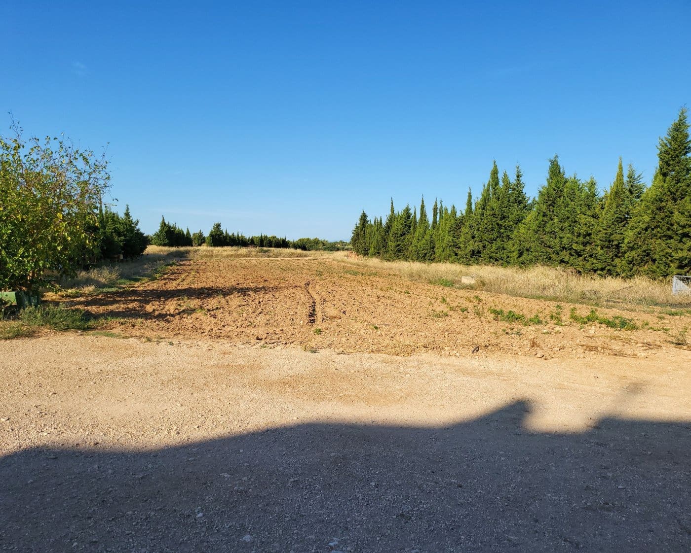 6 camera da letto Finca/Casa di Campagna in vendita in L'Ampolla - 700.000 € (Rif: 9382815)