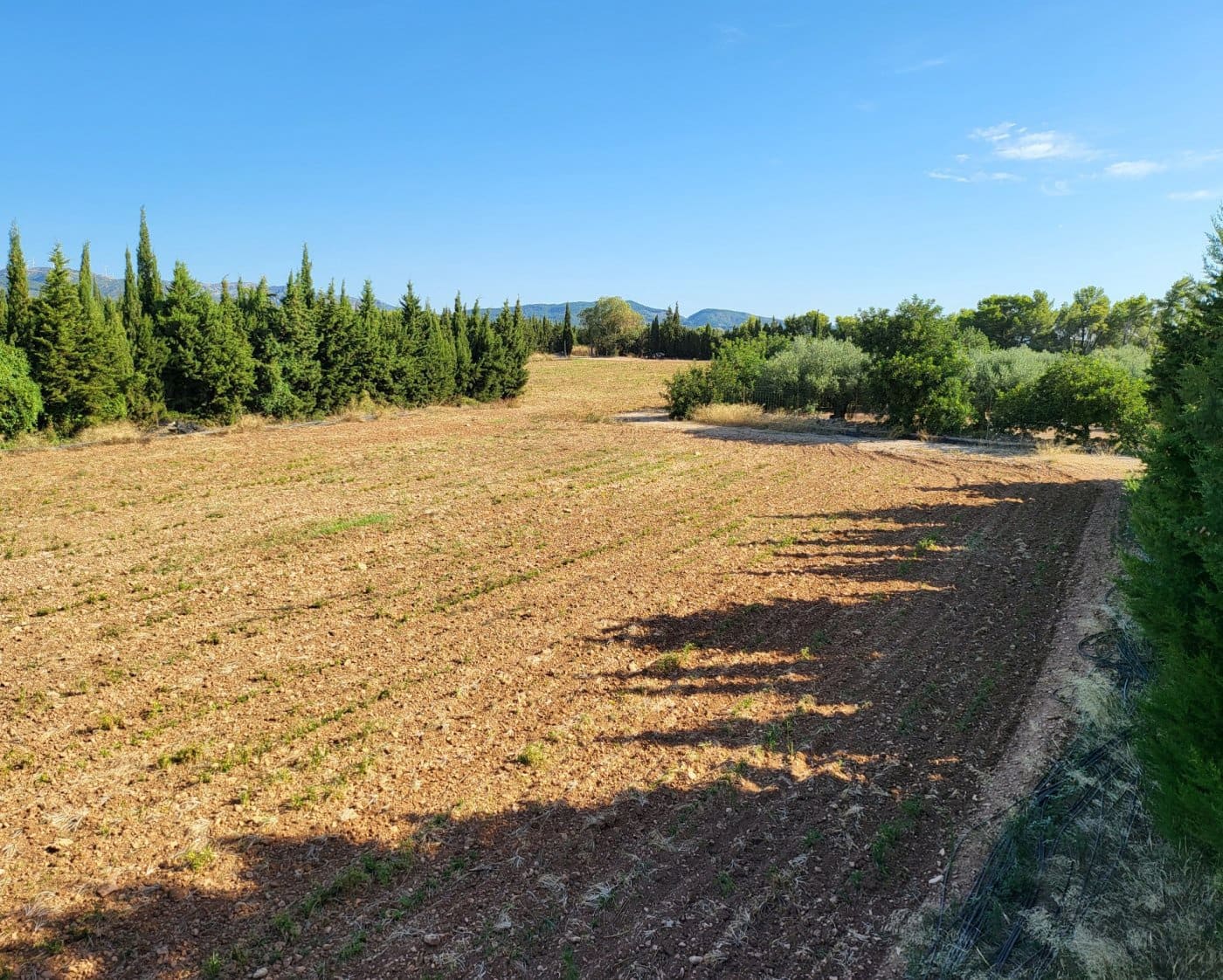 6 camera da letto Finca/Casa di Campagna in vendita in L'Ampolla - 700.000 € (Rif: 9382815)