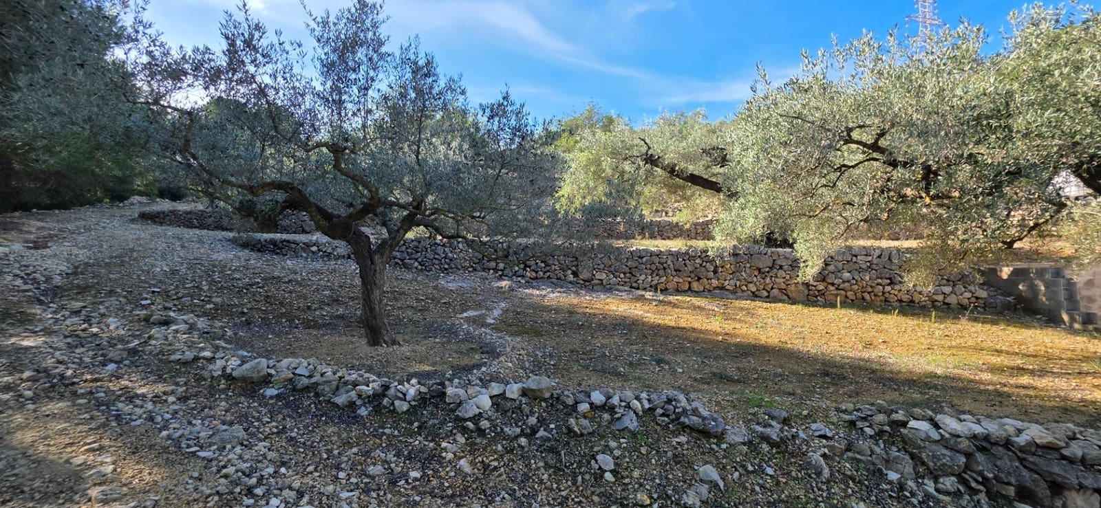 3 slaapkamer Finca/Landhuis te koop in El Perello - € 229.000 (Ref: 9390837)