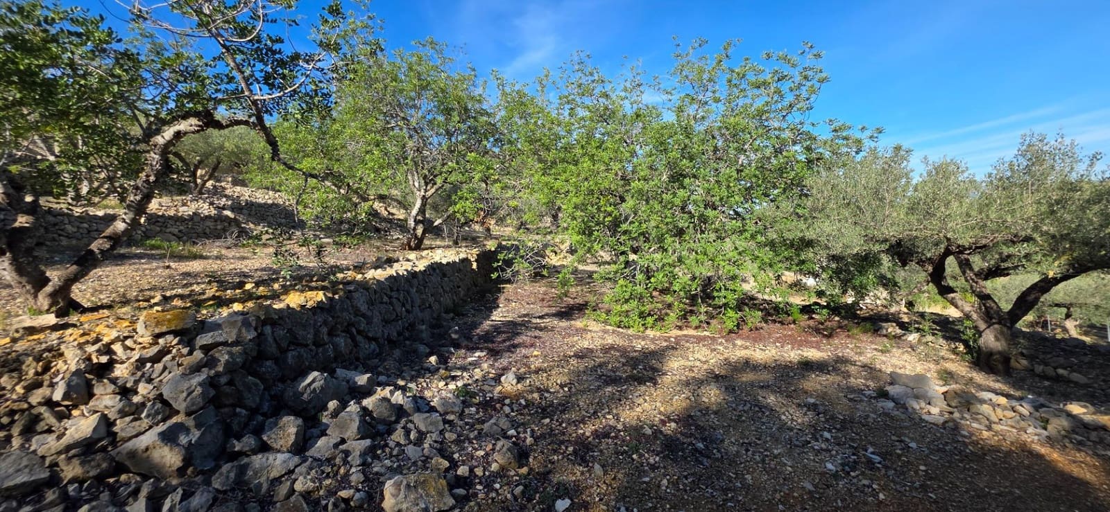 3 slaapkamer Finca/Landhuis te koop in El Perello - € 229.000 (Ref: 9390837)