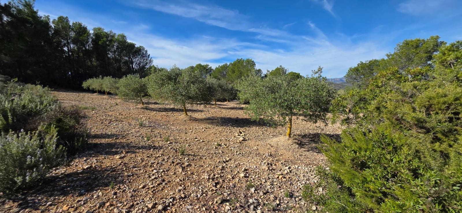 3 slaapkamer Finca/Landhuis te koop in El Perello - € 229.000 (Ref: 9390837)