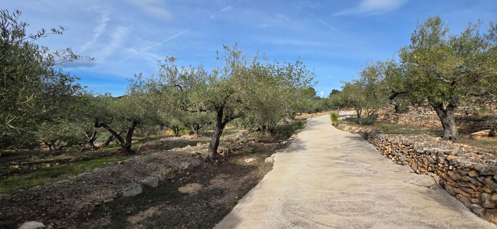 4 sovrum Finca/Hus på landet till salu i L'Ametlla de Mar med pool - 299 000 € (Ref: 9414074)