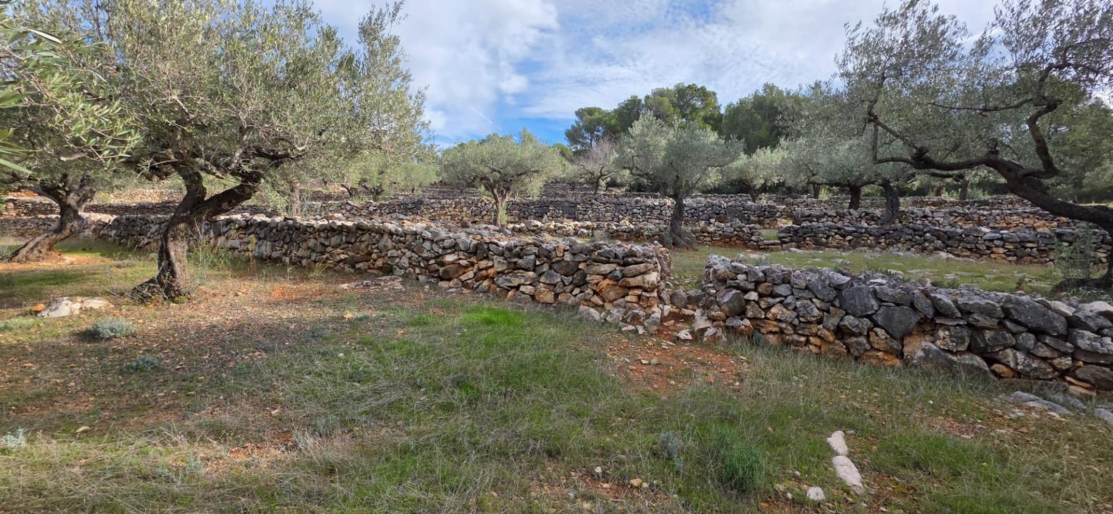 4 sovrum Finca/Hus på landet till salu i L'Ametlla de Mar med pool - 299 000 € (Ref: 9414074)