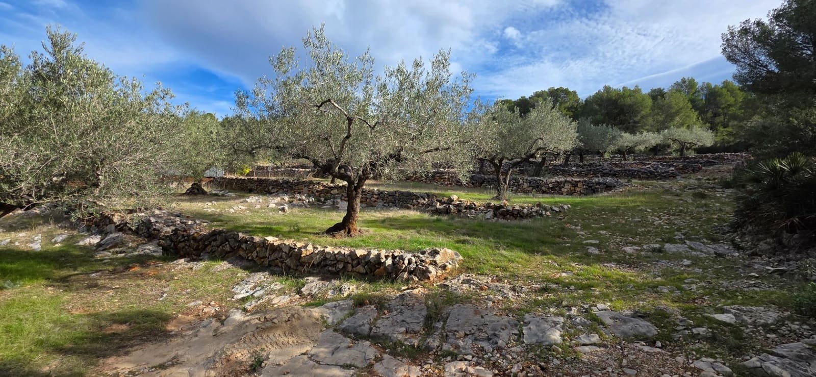 4 sovrum Finca/Hus på landet till salu i L'Ametlla de Mar med pool - 299 000 € (Ref: 9414074)