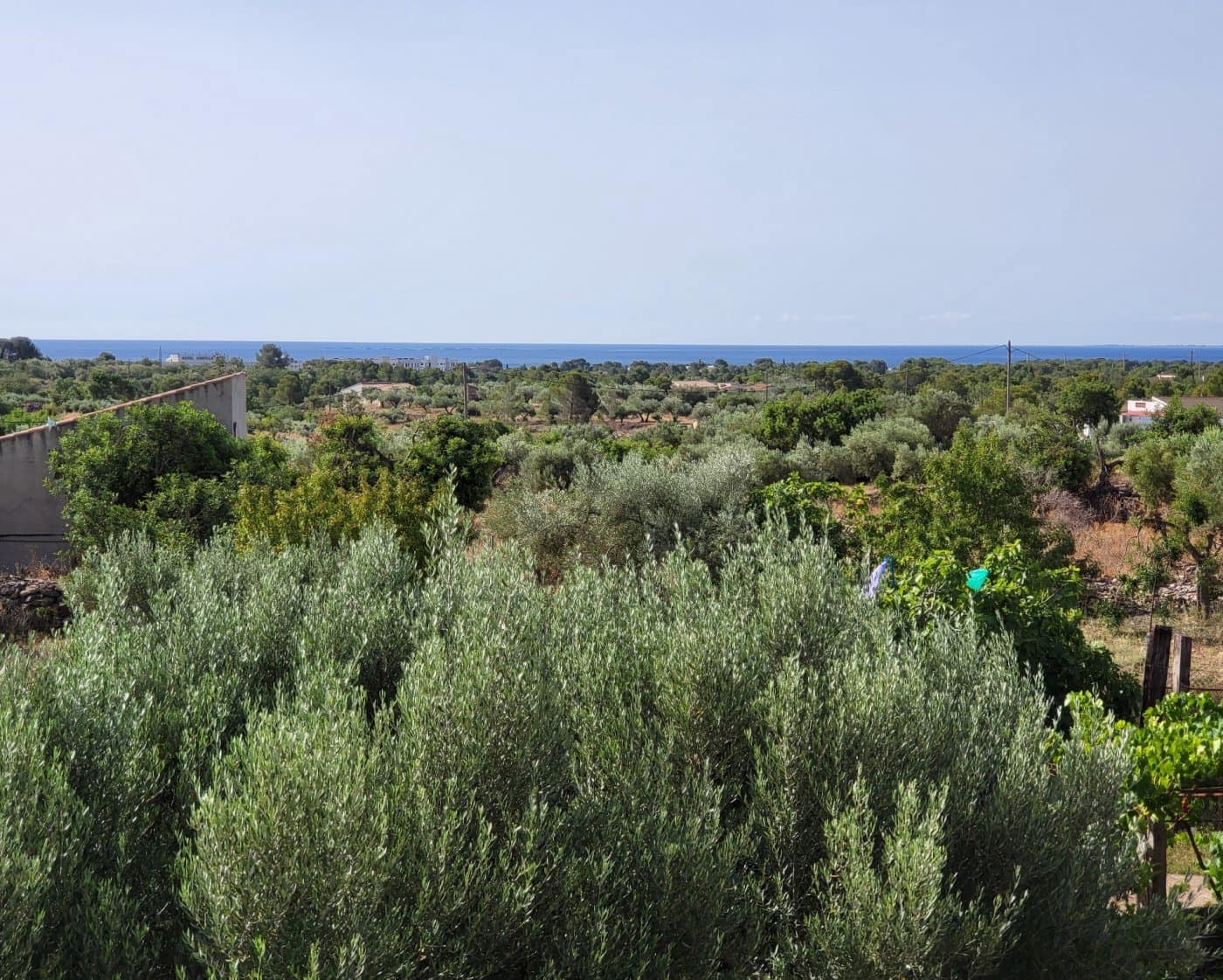 5 camera da letto Finca/Casa di Campagna in vendita in L'Ametlla de Mar con piscina - 492.000 € (Rif: 9456230)