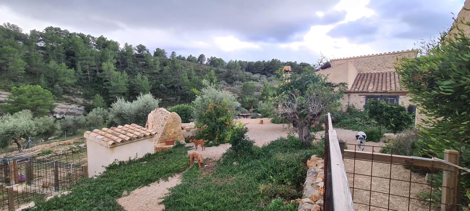 3 bedroom Finca/Country House for sale in El Perello with garage - € 495,000 (Ref: 9468470)