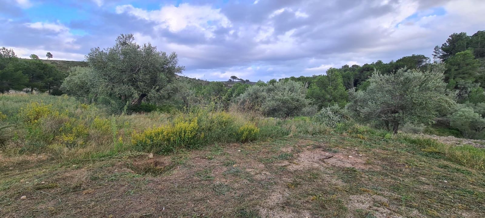 3 bedroom Finca/Country House for sale in El Perello with garage - € 495,000 (Ref: 9468470)