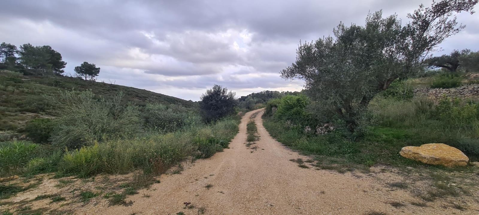 1 quarto Quinta/Casa Rural para venda em El Perello - 290 000 € (Ref: 9472956)