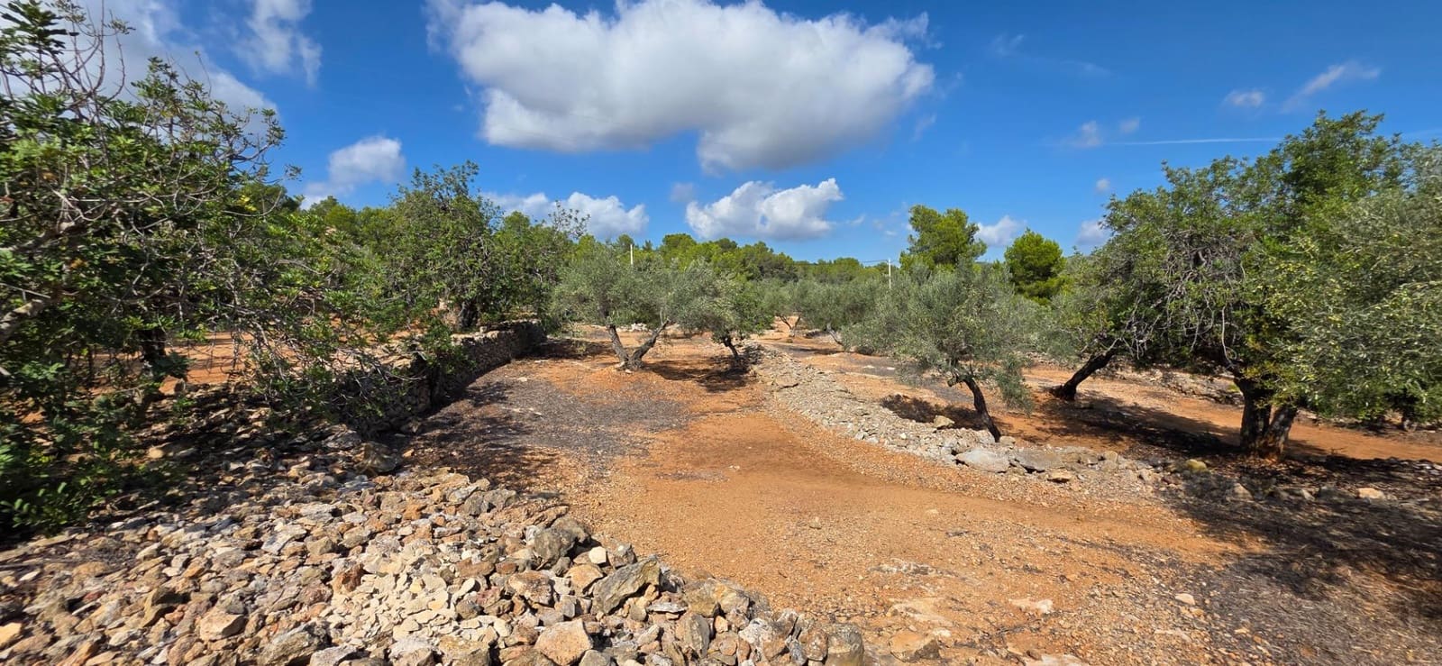 2 soverom Finca/Herregård til salgs i El Perello med svømmebasseng - € 275 000 (Ref: 9627474)