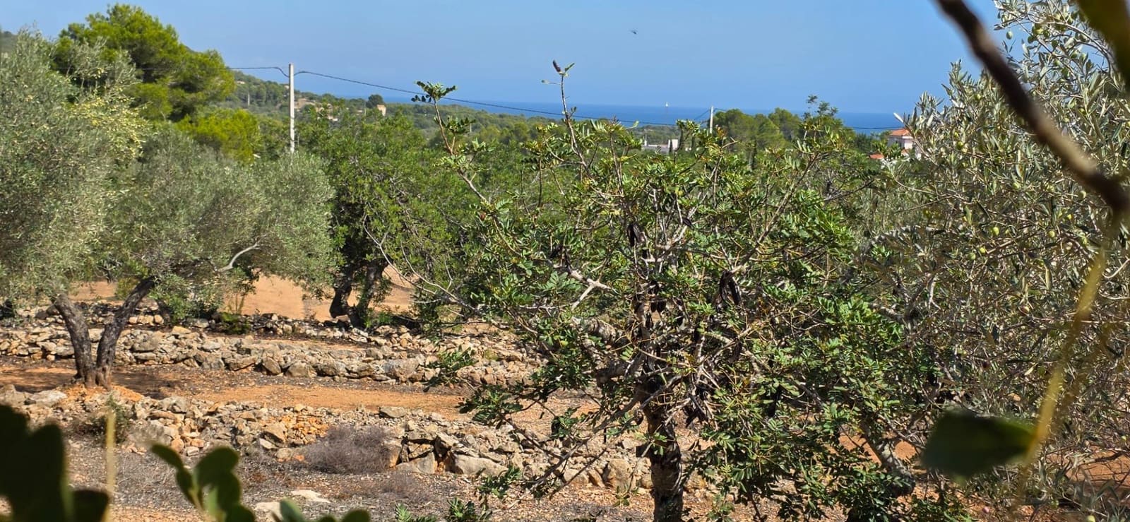 2 soverom Finca/Herregård til salgs i El Perello med svømmebasseng - € 275 000 (Ref: 9627474)