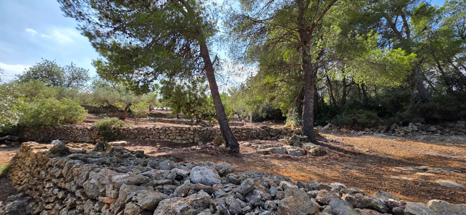 2 soverom Finca/Herregård til salgs i El Perello med svømmebasseng - € 275 000 (Ref: 9627474)