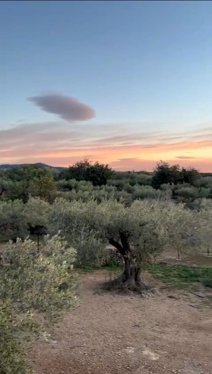 1 quarto Quinta/Casa Rural para venda em L'Ampolla - 135 000 € (Ref: 9648092)