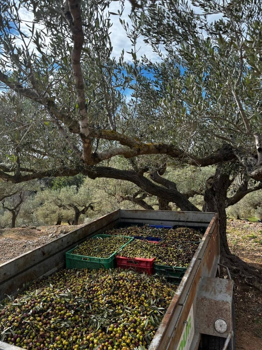 1 quarto Quinta/Casa Rural para venda em L'Ampolla - 135 000 € (Ref: 9648092)