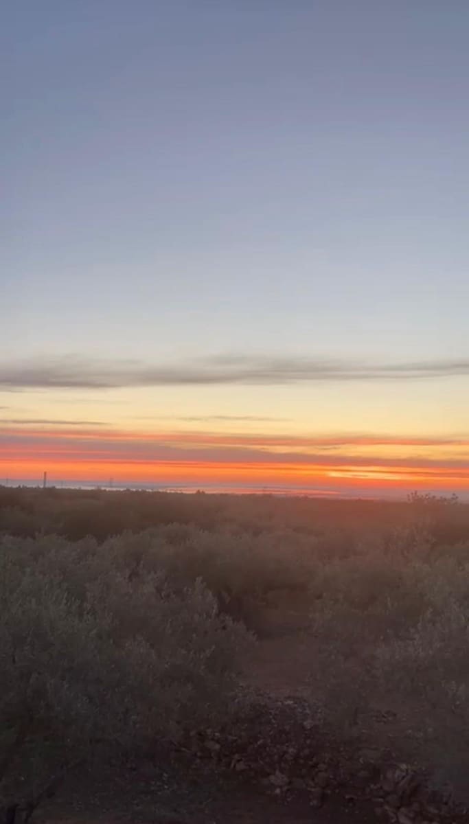 1 soverom Finca/Herregård til salgs i L'Ampolla - € 135 000 (Ref: 9648092)