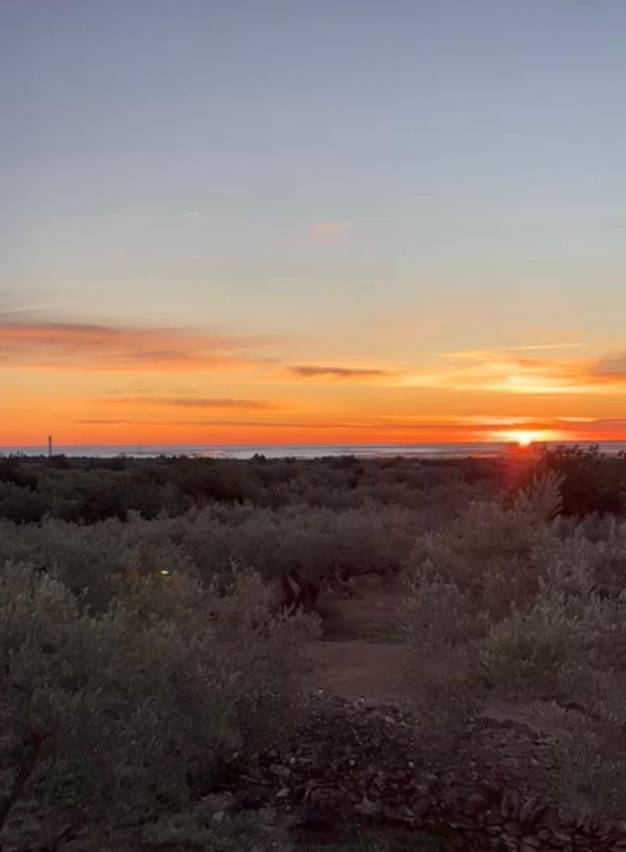 1 soverom Finca/Herregård til salgs i L'Ampolla - € 135 000 (Ref: 9648092)