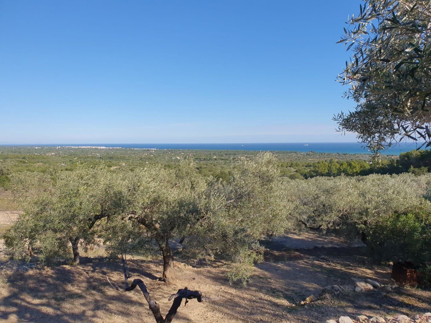 Finca/Landehus til salg i L'Ametlla de Mar - € 98.000 (Ref: 9659417)