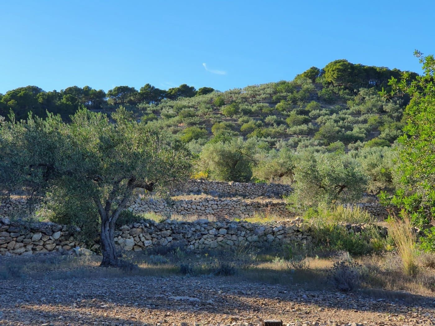 Finca/Landehus til salg i L'Ametlla de Mar - € 98.000 (Ref: 9659417)