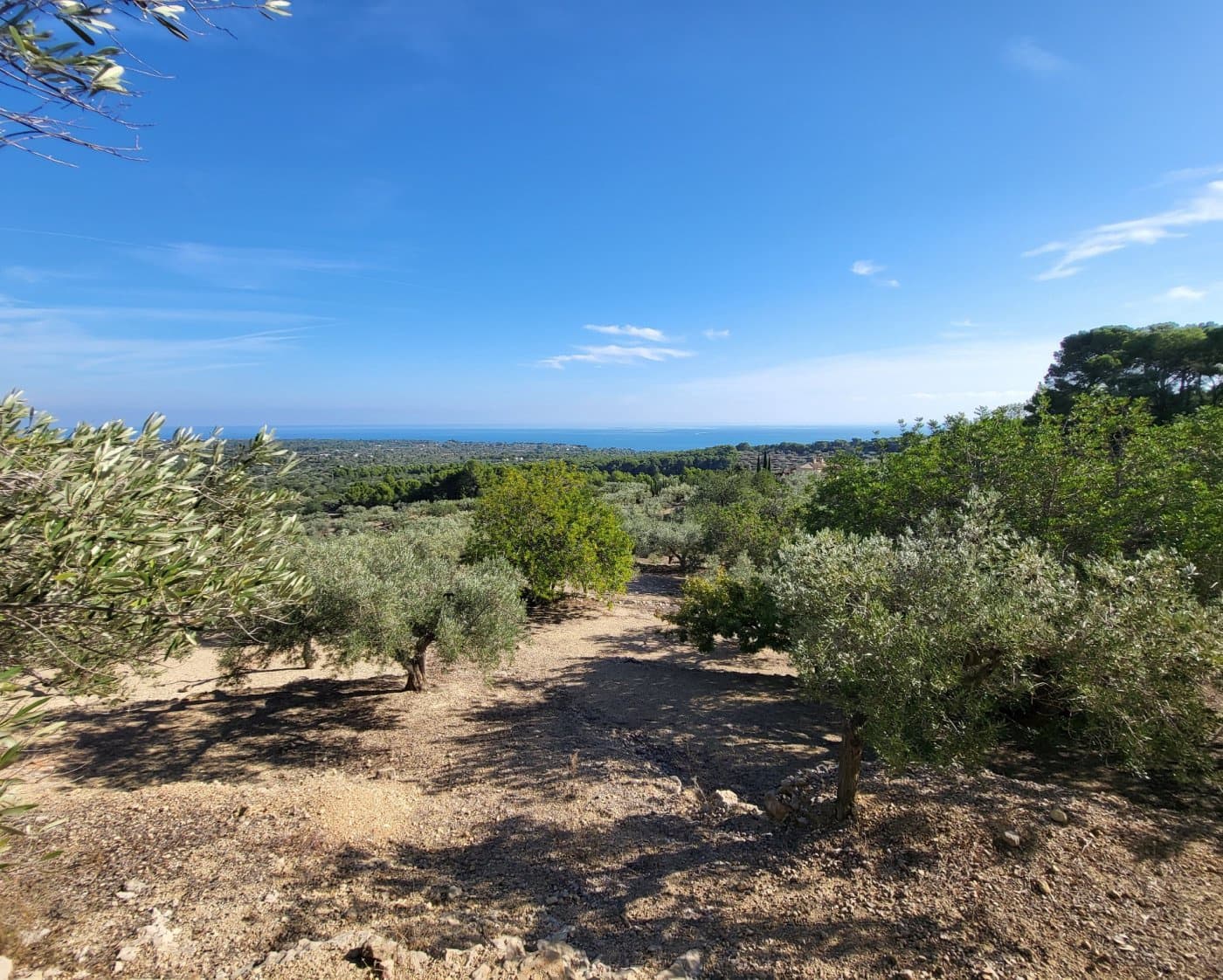 Finca/Landehus til salg i L'Ametlla de Mar - € 98.000 (Ref: 9659417)