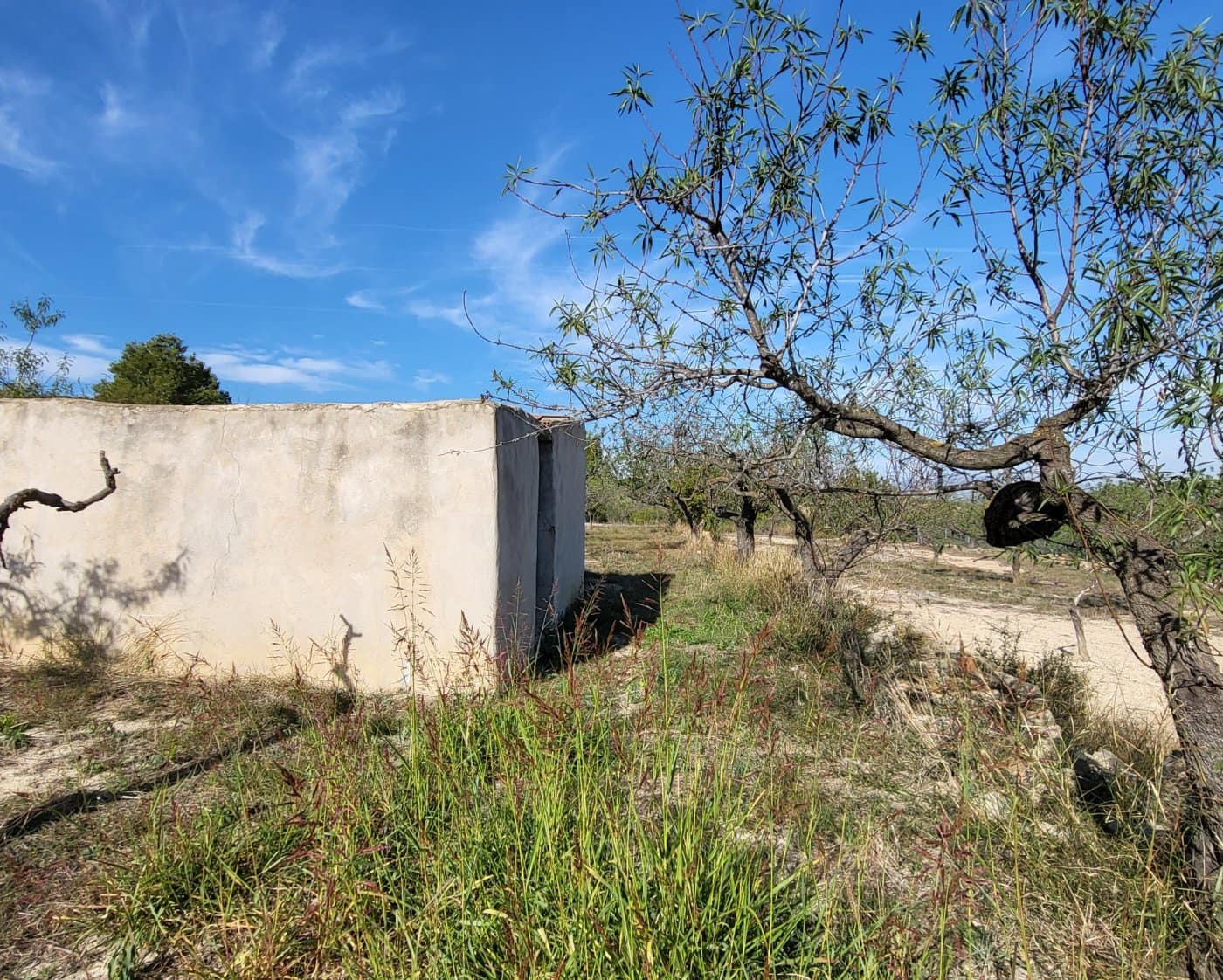 Finca/Landehus til salg i L'Ametlla de Mar - € 98.000 (Ref: 9659417)