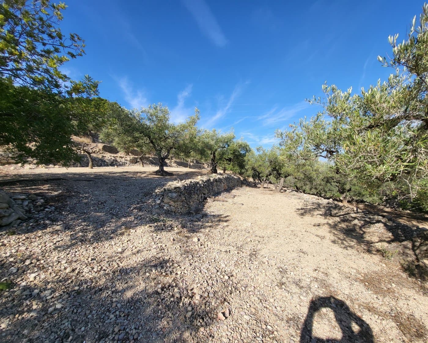 Finca/Landehus til salg i L'Ametlla de Mar - € 98.000 (Ref: 9659417)