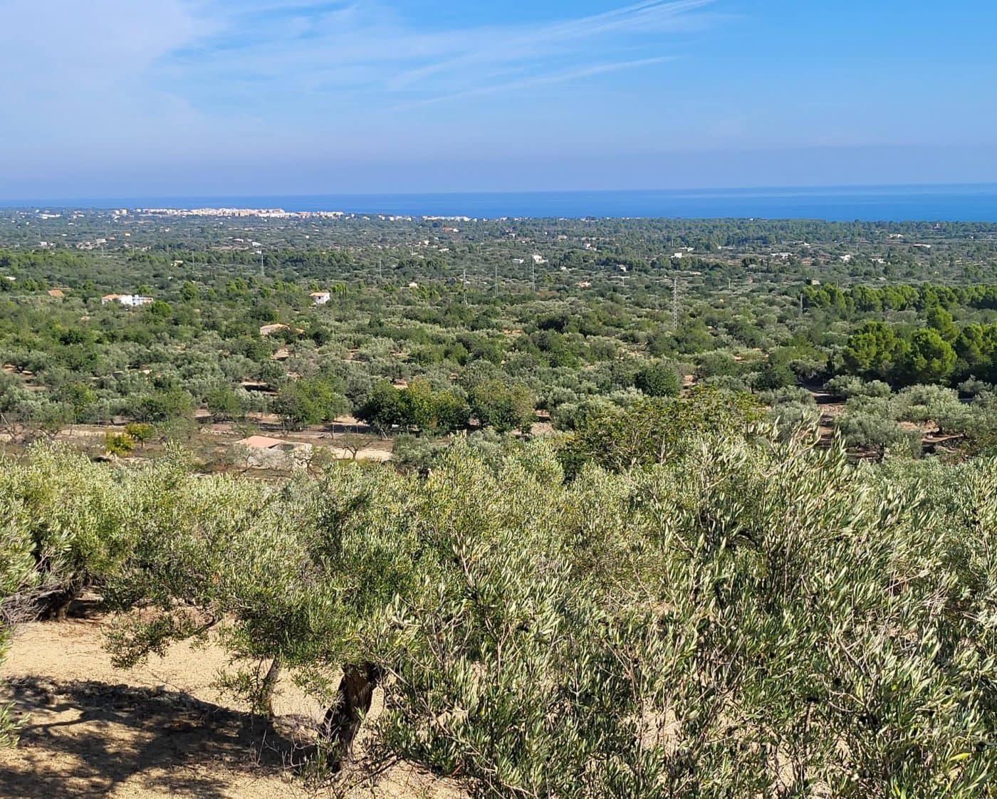 Finca/Landehus til salg i L'Ametlla de Mar - € 98.000 (Ref: 9659417)