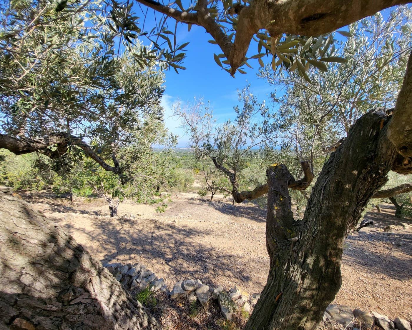 Finca/Landehus til salg i L'Ametlla de Mar - € 98.000 (Ref: 9659417)