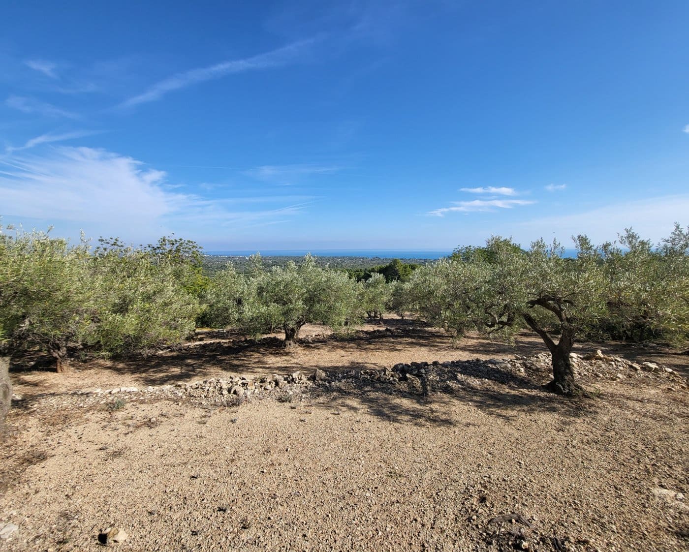 Finca/Landehus til salg i L'Ametlla de Mar - € 98.000 (Ref: 9659417)