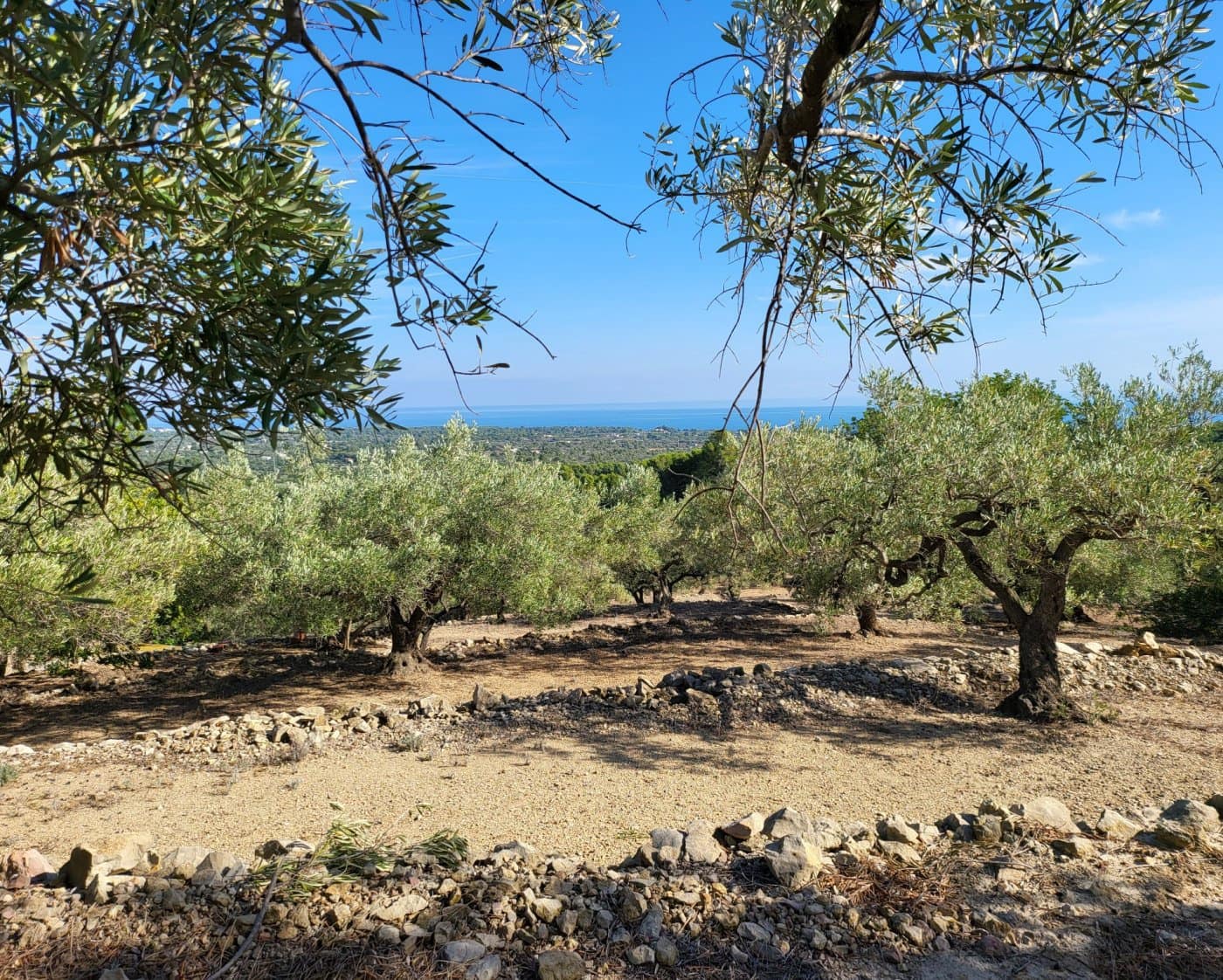 Finca/Landehus til salg i L'Ametlla de Mar - € 98.000 (Ref: 9659417)