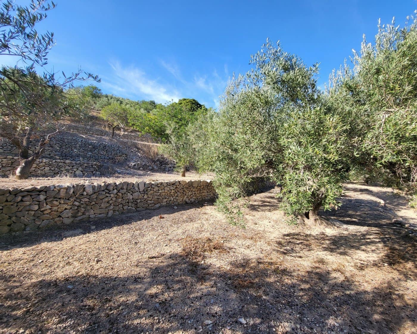Finca/Landehus til salg i L'Ametlla de Mar - € 98.000 (Ref: 9659417)