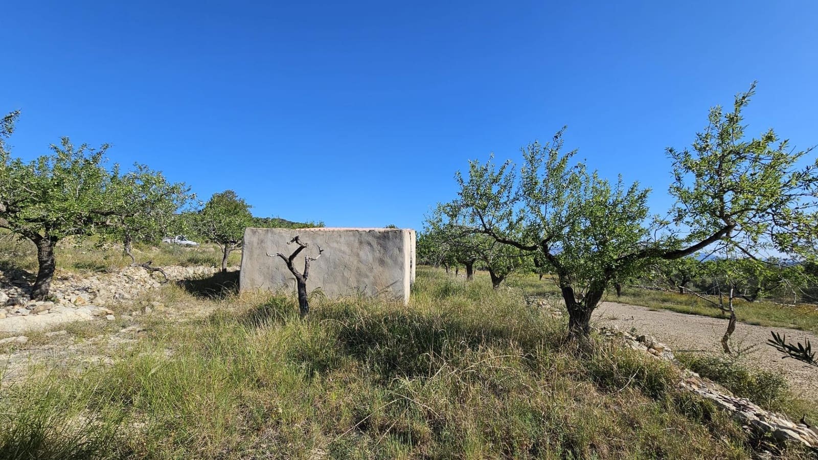 Finca/Landehus til salg i L'Ametlla de Mar - € 98.000 (Ref: 9659417)