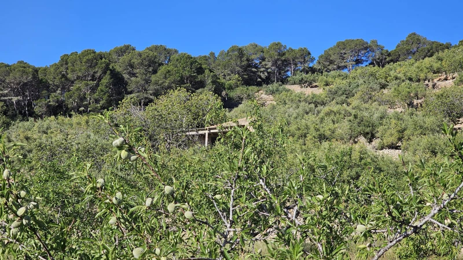 Finca/Landehus til salg i L'Ametlla de Mar - € 98.000 (Ref: 9659417)