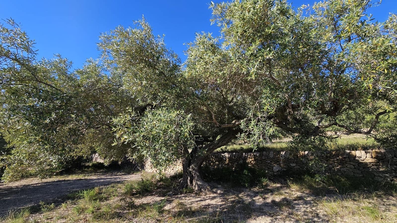 Finca/Landehus til salg i L'Ametlla de Mar - € 98.000 (Ref: 9659417)