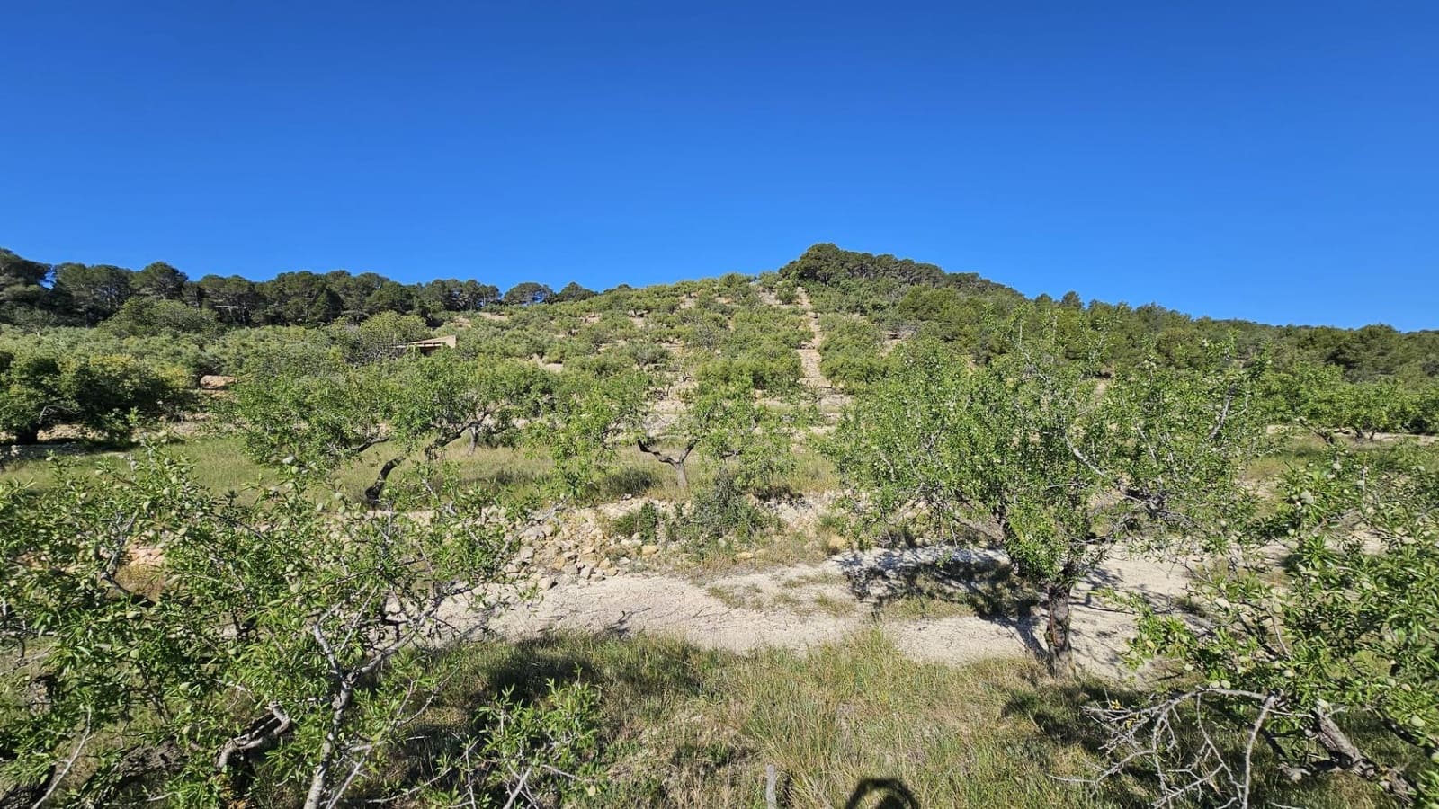 Finca/Landehus til salg i L'Ametlla de Mar - € 98.000 (Ref: 9659417)