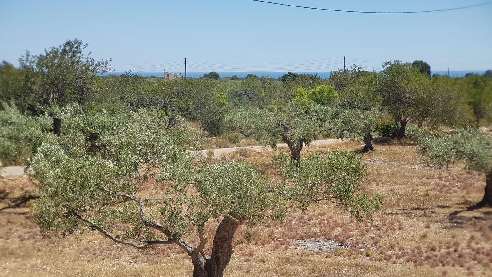 Finca/Country House for sale in L'Ametlla de Mar - € 118,000 (Ref: 9670625)