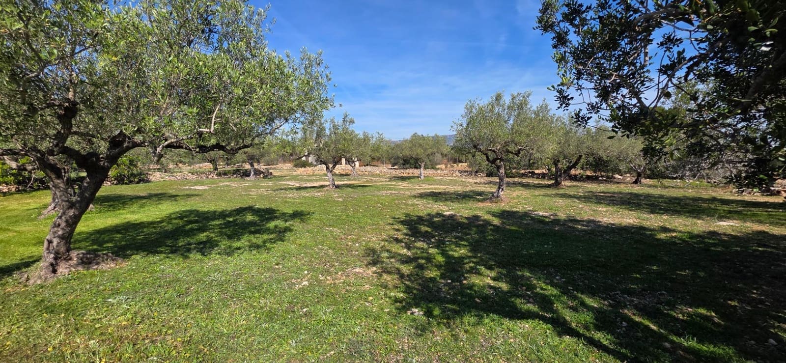 Finca/Country House for sale in L'Ametlla de Mar - € 118,000 (Ref: 9670625)