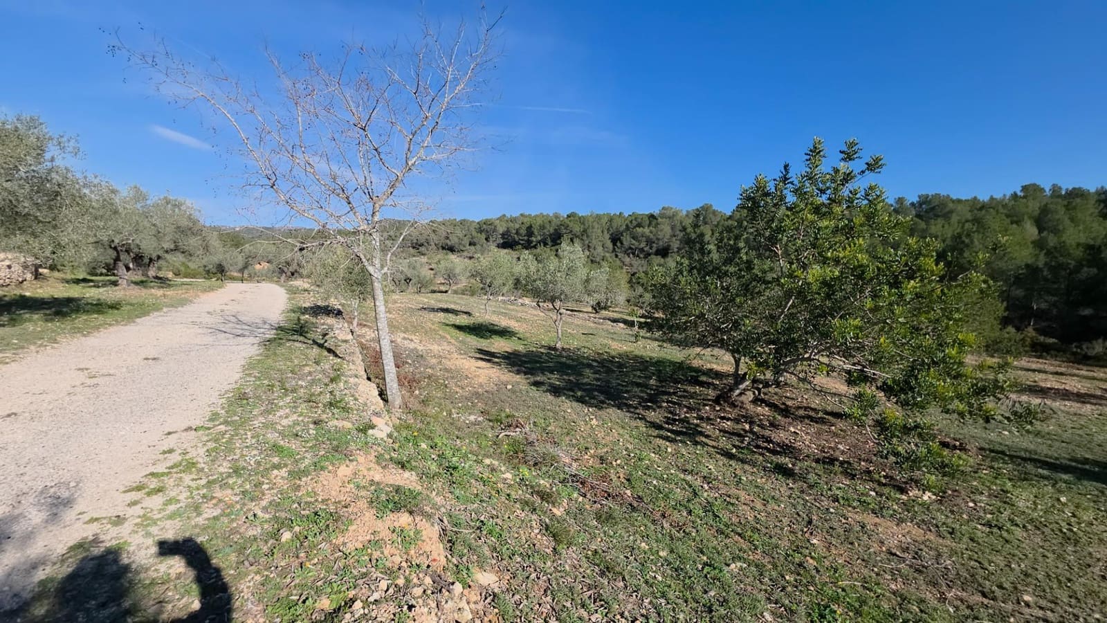 3 sovrum Finca/Hus på landet till salu i Tivissa - 369 000 € (Ref: 9690584)