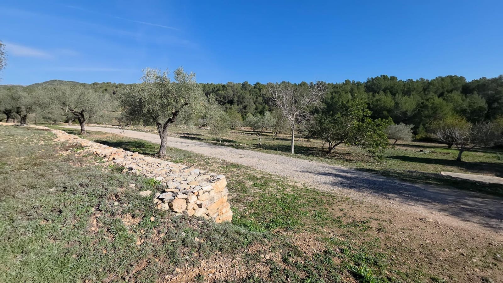 3 bedroom Finca/Country House for sale in Tivissa - € 369,000 (Ref: 9690584)